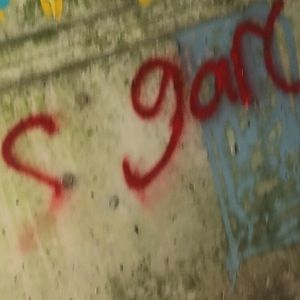 Meet your Posher, Evelyn